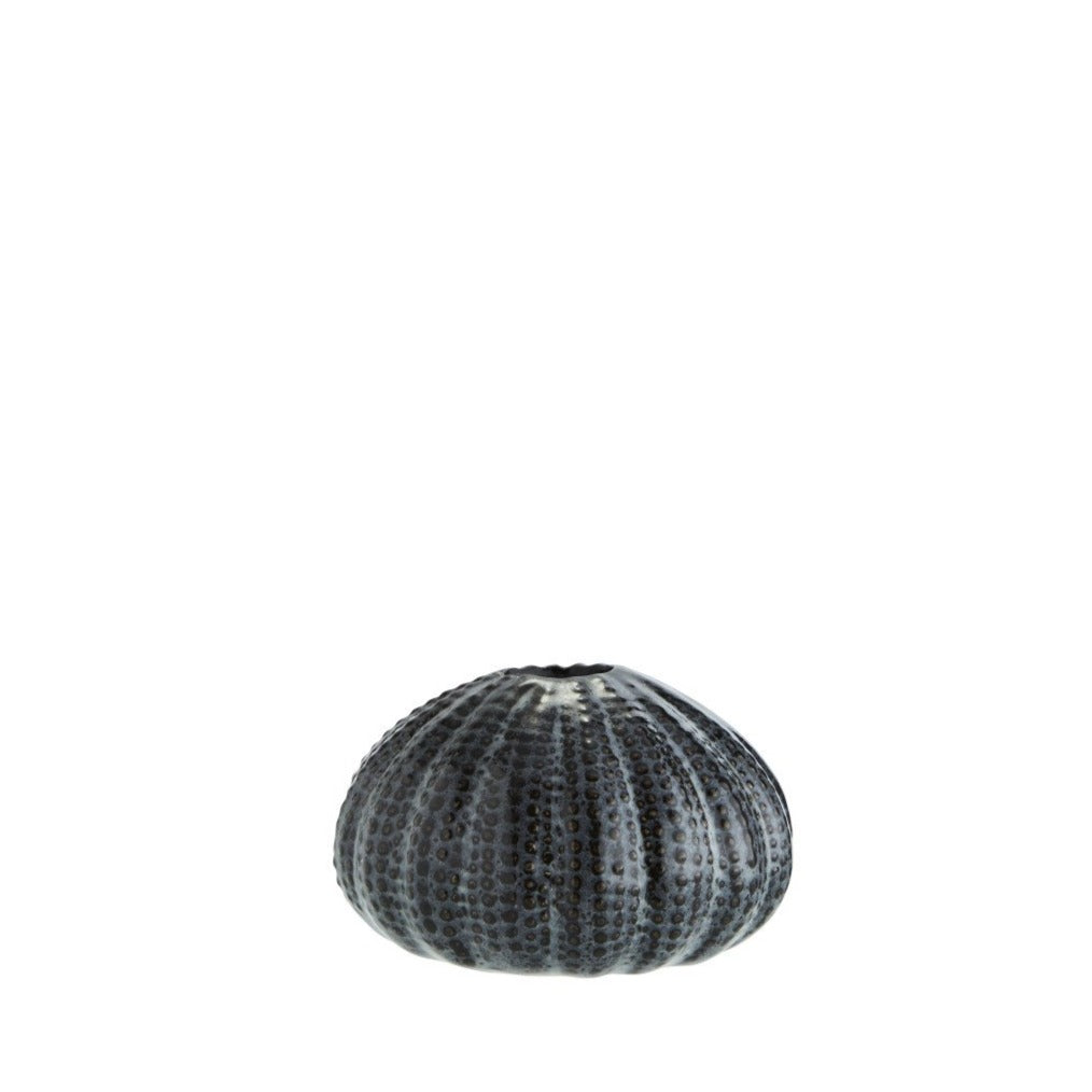 Black Sea Urchin Vase